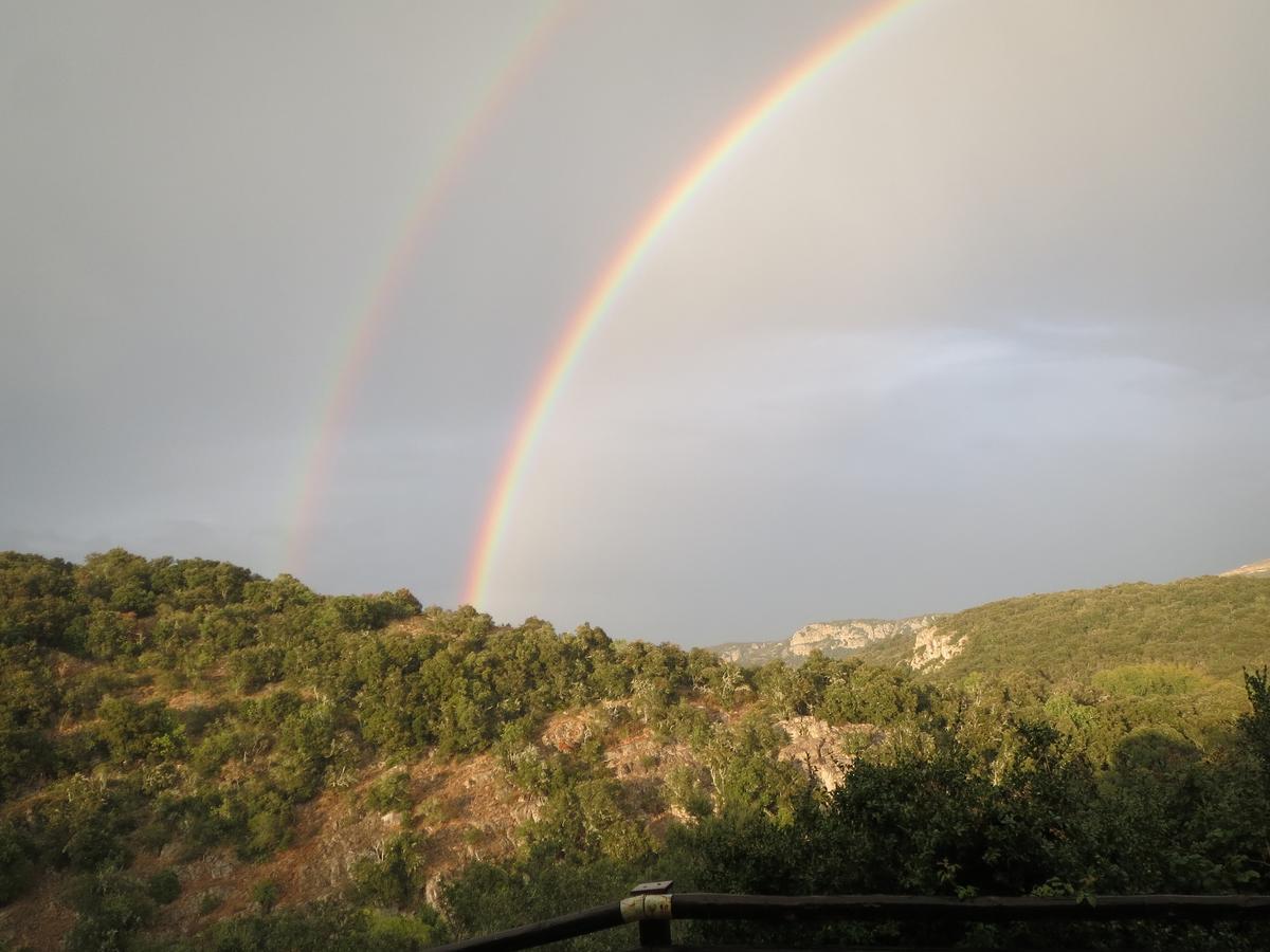 Les Hauts D'Issensac Causse-de-la-Selle Exterior foto